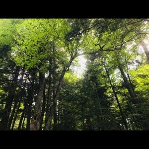 Meet your Posher, Ella